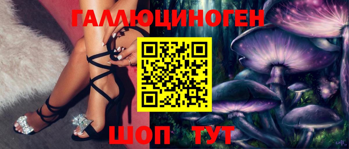 Псилоцибиновые грибы GOLDEN TEACHER Керчь