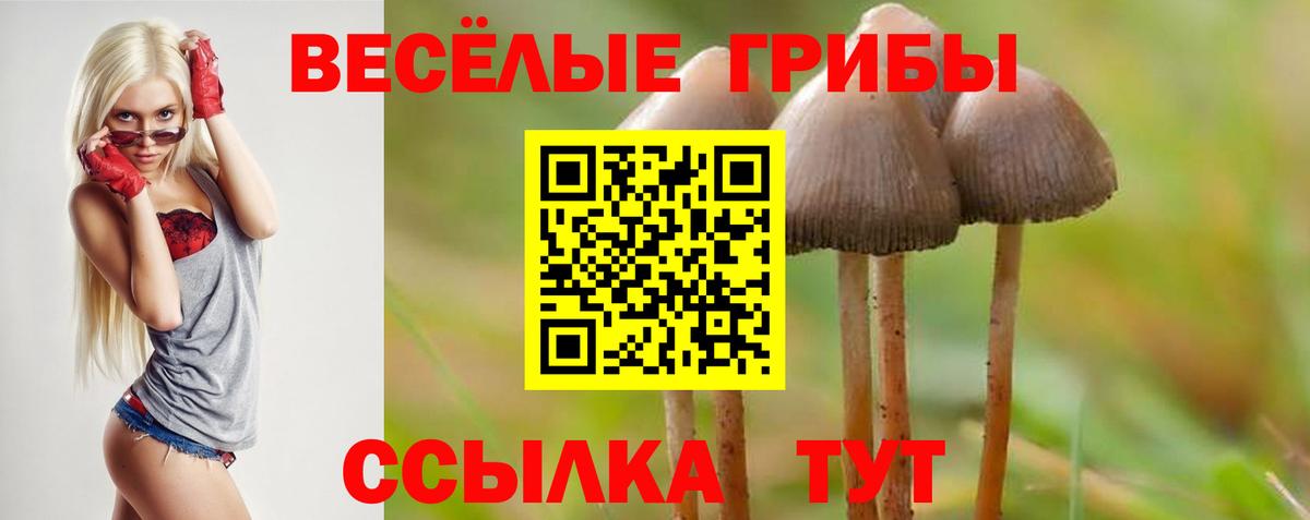 закладка  Вход с VPN  Керчь  Галлюциногенные грибы прущие грибы 